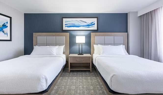 The Simon Hotel Sydney Dış mekan fotoğraf